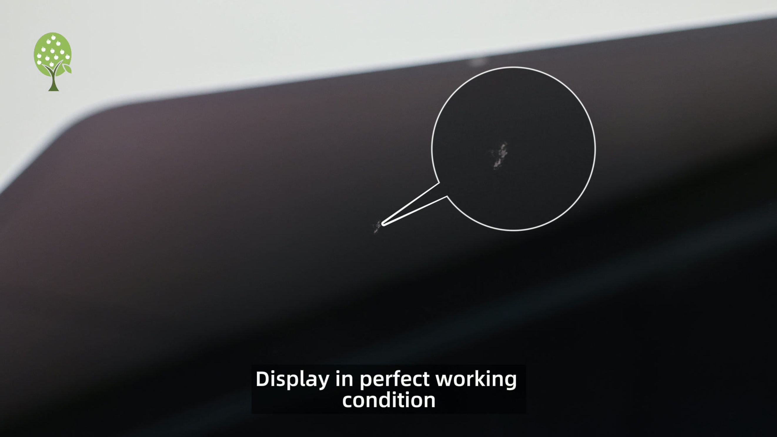 iPad Grading Standards